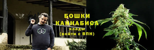 таблы Белокуриха