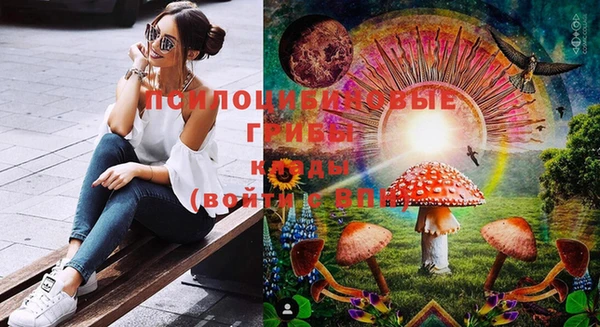 твердый Белоозёрский