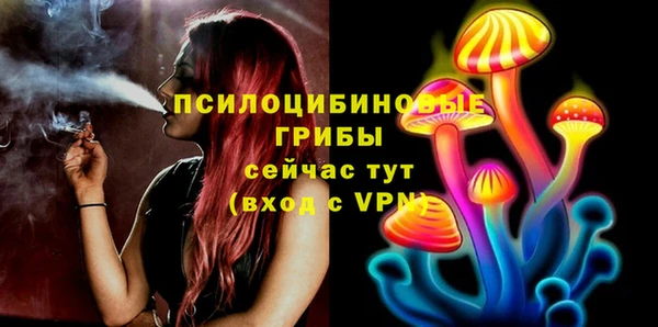 таблы Белокуриха