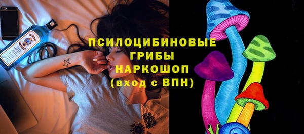 таблы Белокуриха