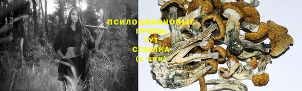 трава Богданович