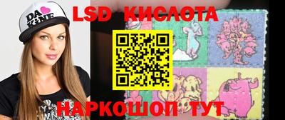 шишки Кандалакша