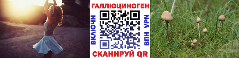 мориарти какой сайт  Бутурлиновка  Псилоцибиновые грибы Psilocybe  что такое наркотик 