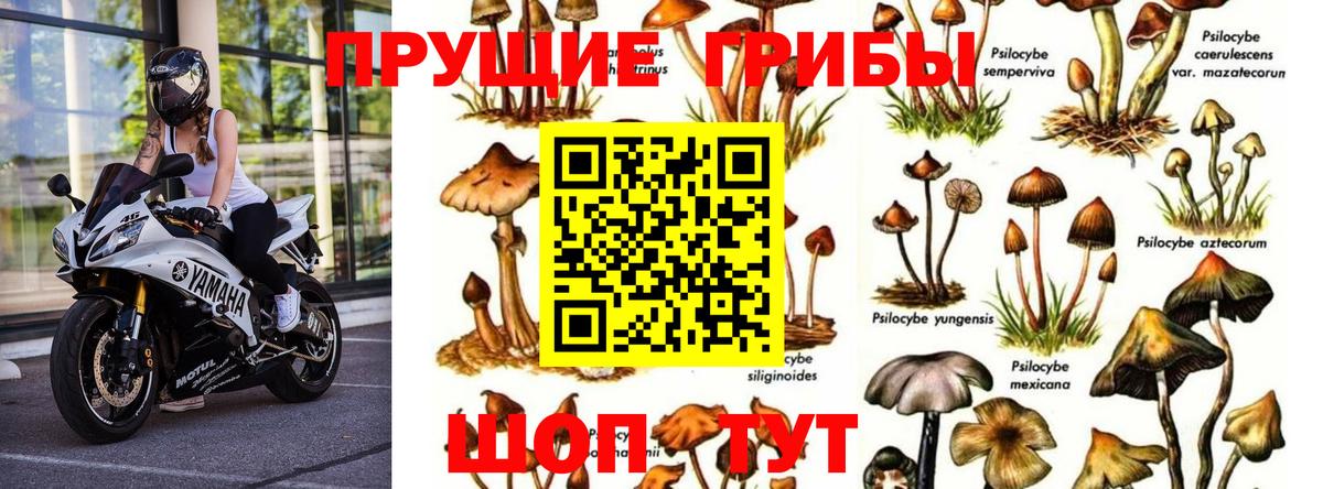 ГАШИШ Бутурлиновка