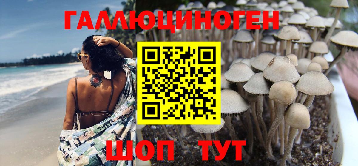 Галлюциногенные грибы MAGIC MUSHROOMS Бутурлиновка