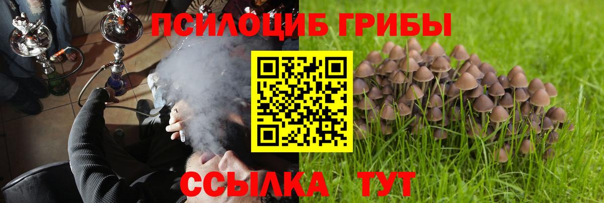 Псилоцибиновые грибы мицелий  Вход с VPN  Бутурлиновка 